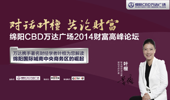 绵阳CBD万达广场2014财富高峰论坛-对话叶檀
