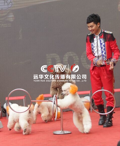 QQ图片20150118053347