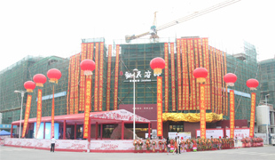 上马·观花府邸开盘仪式