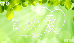 杨世纺织微视频名片——《自然·爱—翼的》