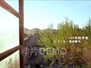 上海徐汇招商形象宣传片